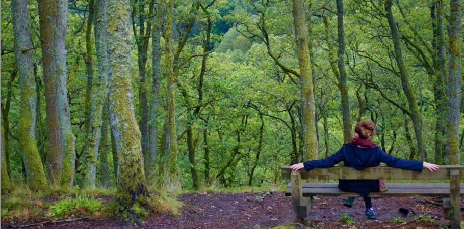 Student sitting enjoying their woodland surroundings 